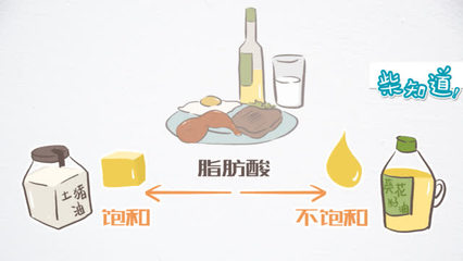 脂肪酸 从身体燃料到生命之基的全面解读