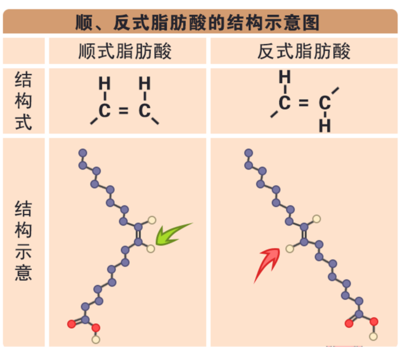 反式脂肪酸，你真的了解吗？